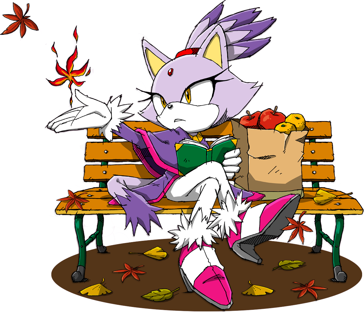 Blaze The Cat Images Blaze In The Fall Hd Wallpaper - Blaze The Cat Clipart (1163x995), Png Download