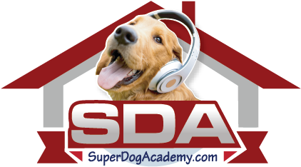 Sda Superdogacademy - Dog Catches Something Clipart (694x694), Png Download