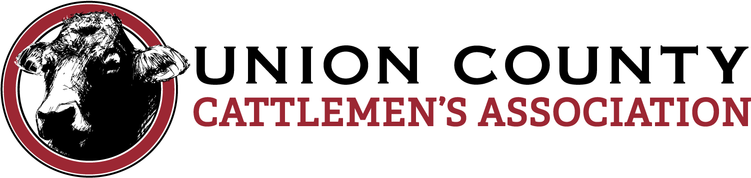 Author - Ringmaster - America's Best Communities Clipart (1600x434), Png Download