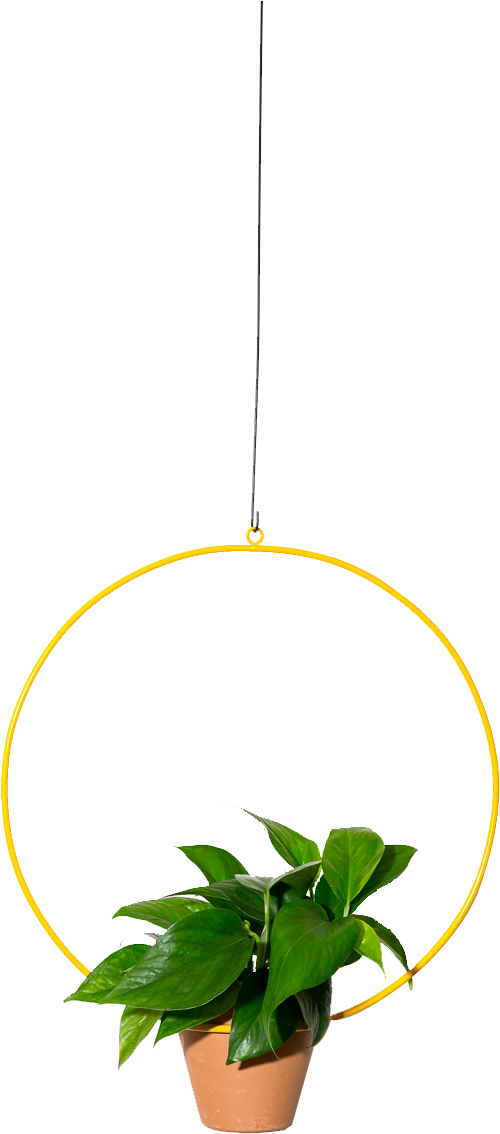 Hanging Circle Planter 18" - Hanging Plant Transparent Png Clipart (933x1400), Png Download