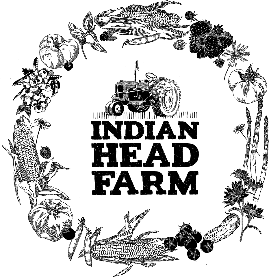 Indian Head Farm - Illustration Clipart (1024x1024), Png Download