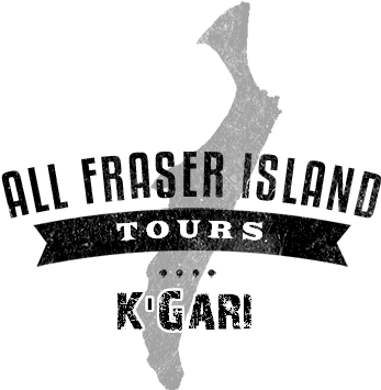 Fraser Island Tours Kgari - Calligraphy Clipart (800x500), Png Download