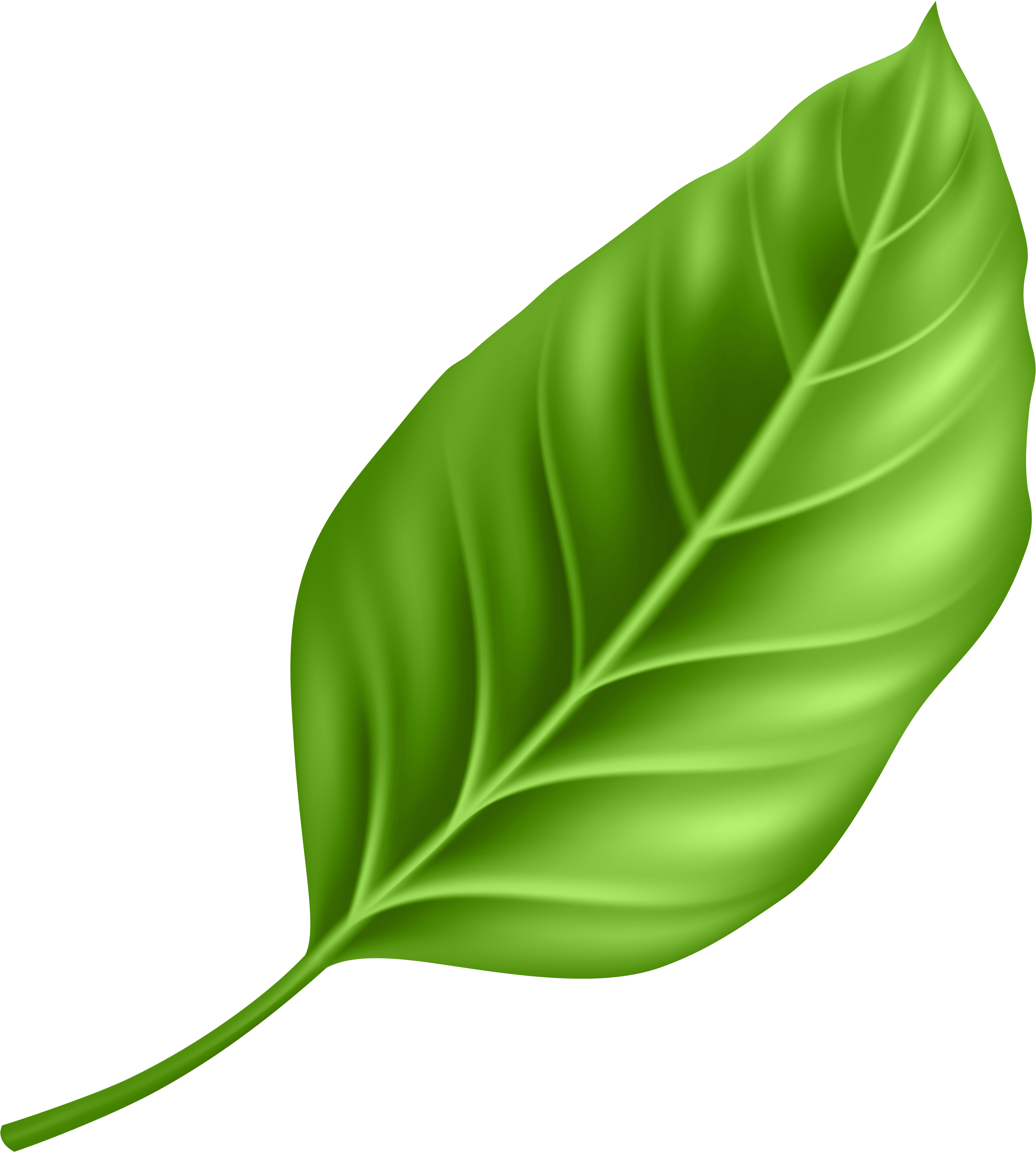 Leaf Png Clipart Transparent Png (7222x8000), Png Download
