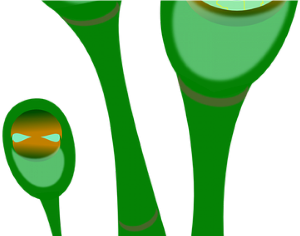 Clip Art - Png Download (640x480), Png Download