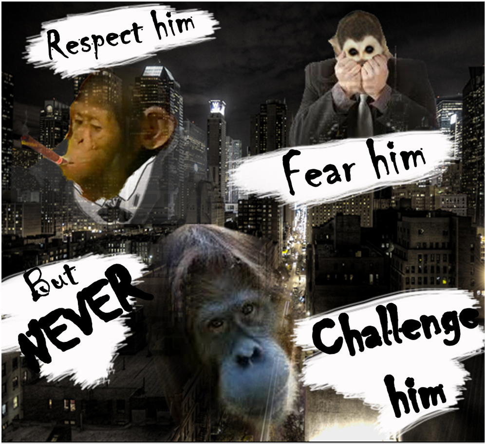 Orangutan 3 - New York City Clipart (1169x1024), Png Download