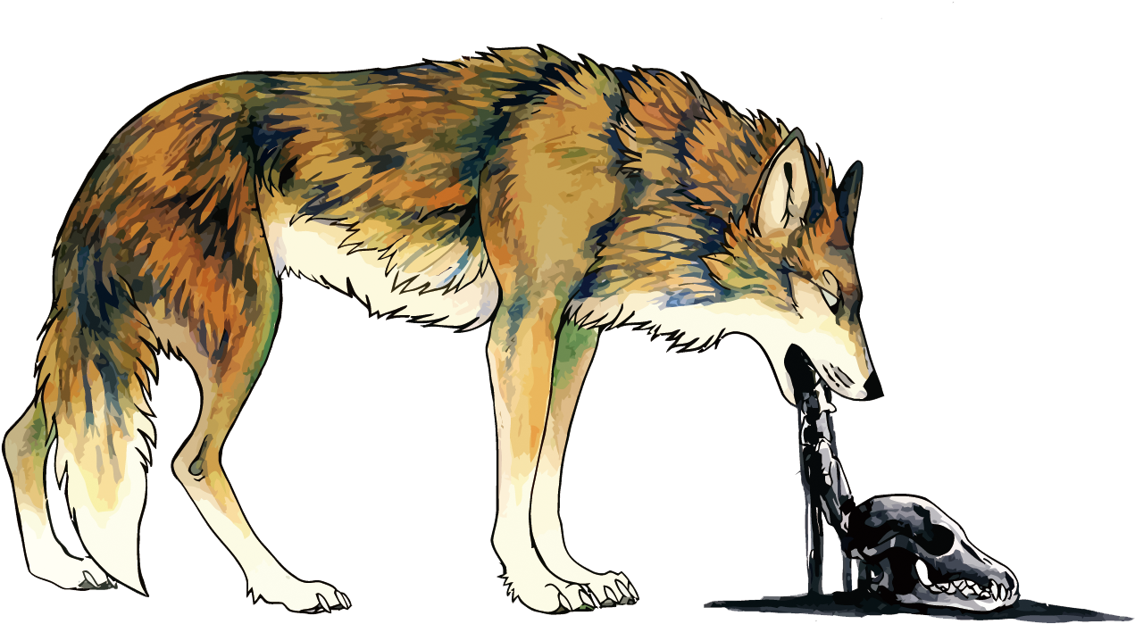 Coyote Dog Vomiting Illustration - Coyote On Vector Clipart (1500x879), Png Download
