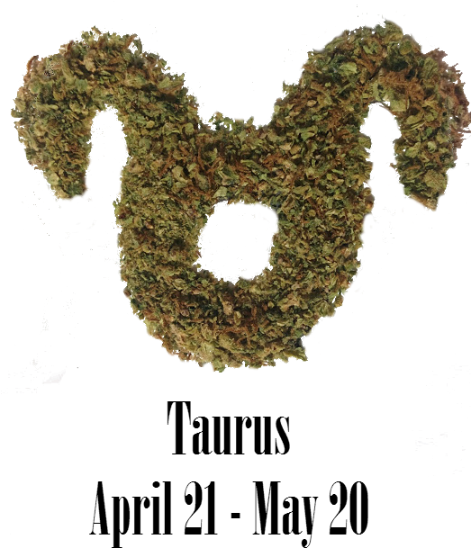 Stoner Aries Monthly Horoscope - Moss Clipart (525x709), Png Download