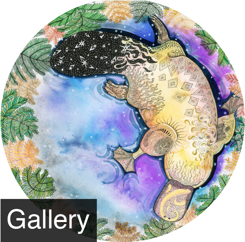 I'm Zinia King, An Adelaide Hills Based Visual Artist - Earth Clipart (1000x1000), Png Download