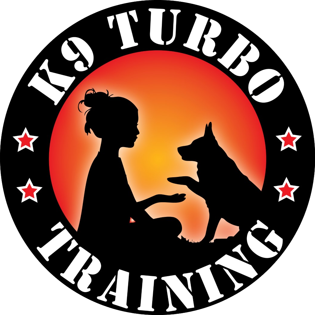 K9 Turbo Training Logo Clipart (1047x1047), Png Download