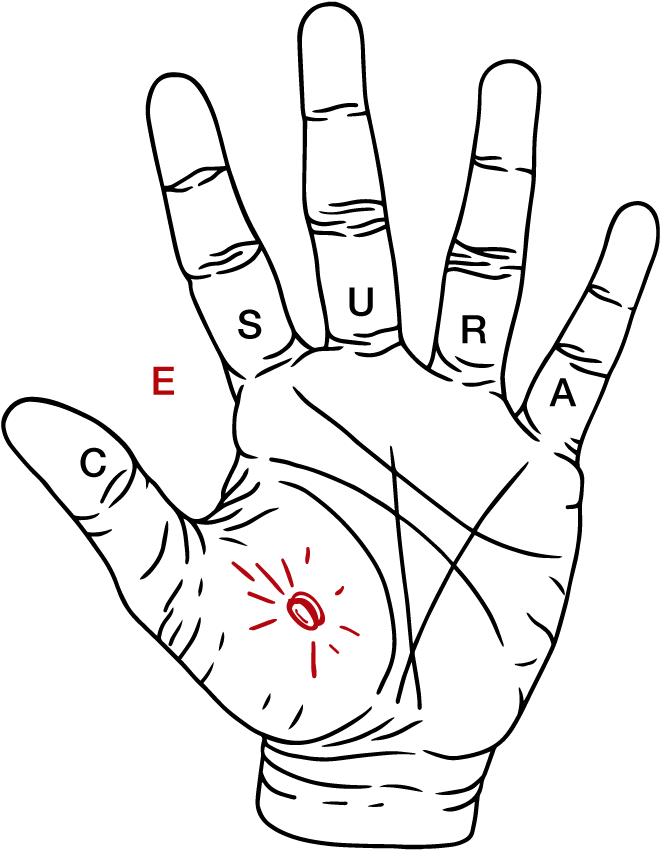 Cafe Cesura A Great Place To Drink Coffee In Downtown - Illustration Clipart (1000x1000), Png Download