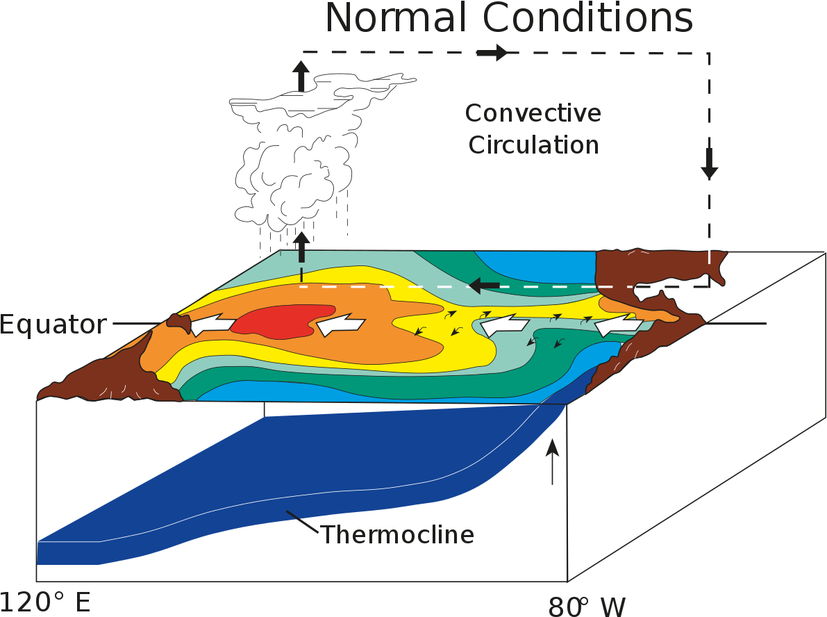 La Nina Normal Conditions Clipart (1200x924), Png Download