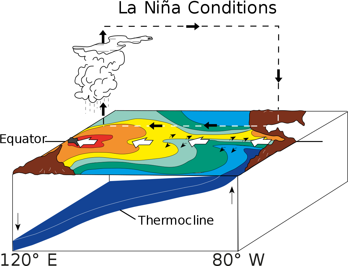 File - Enso - La Niña - Svg - El Nino Southern Oscillation Normal Clipart (1280x987), Png Download