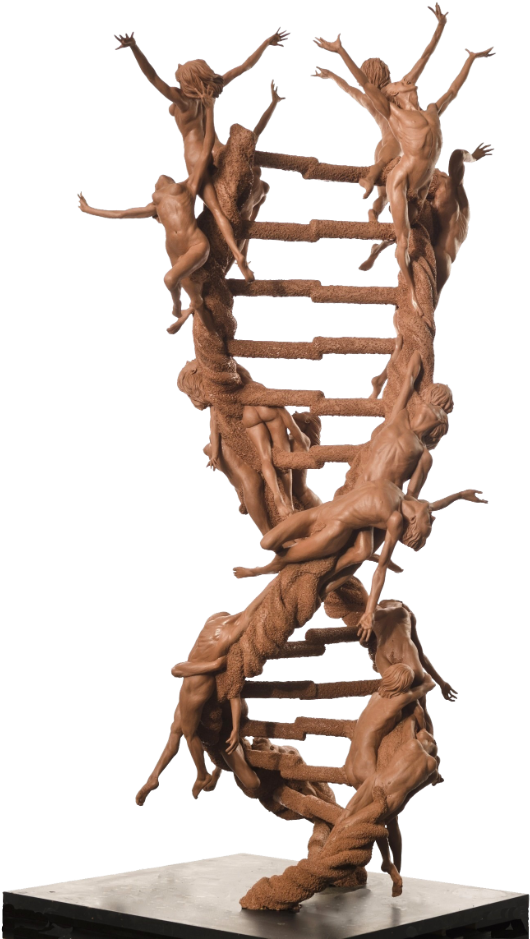 “the Double Helix Xx-xy” Imagines An Animated Strand - Dna Spiral Art Clipart (650x981), Png Download