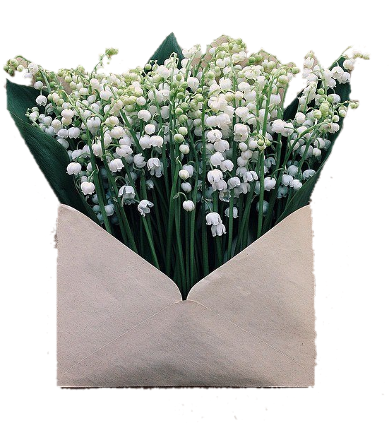 Image Image - Lily Of The Valley Clipart (583x607), Png Download