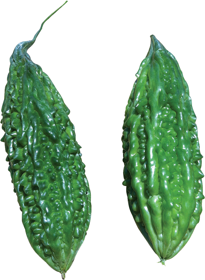 421 Hobbit - Momordica Charantia Clipart (1200x1200), Png Download