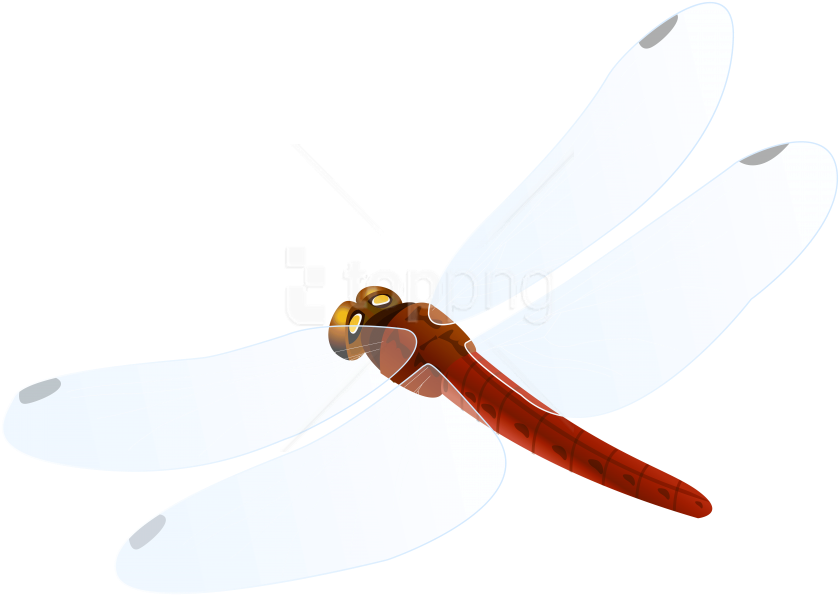 Free Png Download Red Dragonfly Clipart Png Photo Png - Hunting Knife Transparent Png (850x602), Png Download