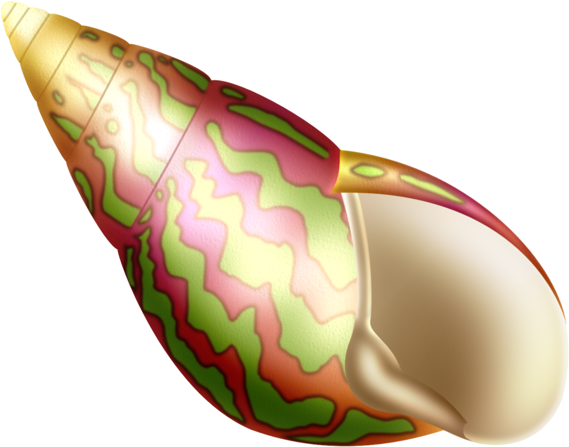 Clip Free Fundo Do Mar Pinterest Album Clipartseashellsnautical - Illustration - Png Download (1280x1024), Png Download