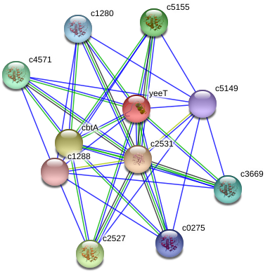 Circle Clipart (975x425), Png Download
