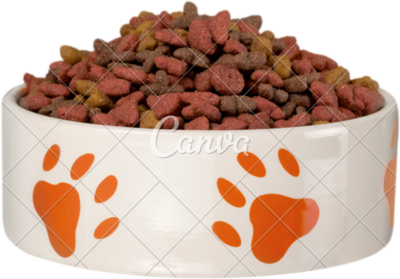 Bowl Of Dog Food Png - Dog Treats In A Bowl Clipart (800x558), Png Download