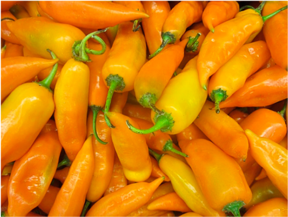 Aji Zanahoria Clipart (800x487), Png Download