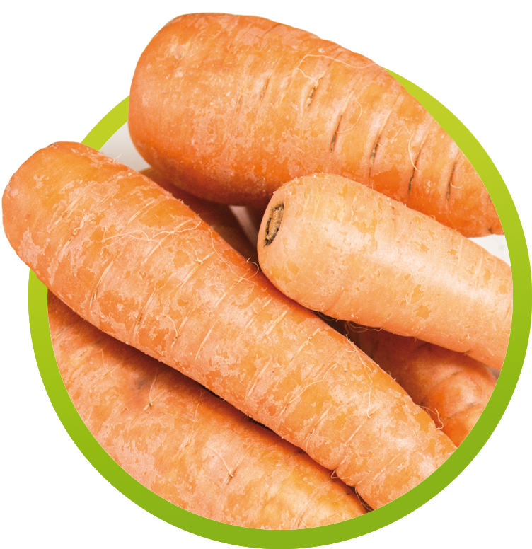 Zanahoria , Png Download - Baby Carrot Clipart (752x776), Png Download