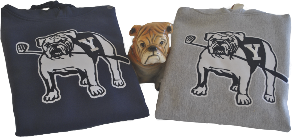 Mv Sport Bulldog Sweatshirt - Yale University Clipart (1024x498), Png Download