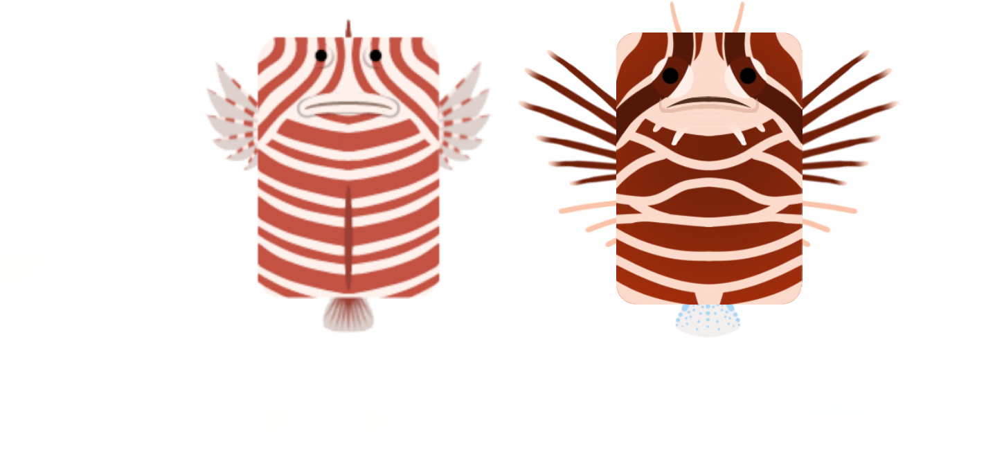 Skinclearfin Lionfish - Illustration Clipart (1600x817), Png Download