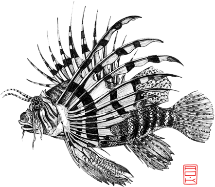 Bleed Area May Not Be Visible - Lionfish Drawing Clipart (494x700), Png Download