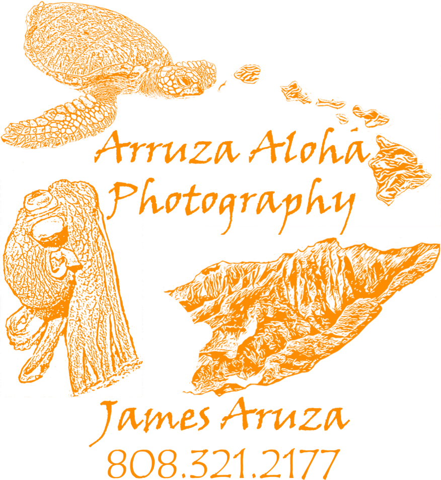 Arruzaalohaphotography - Illustration Clipart (875x1000), Png Download