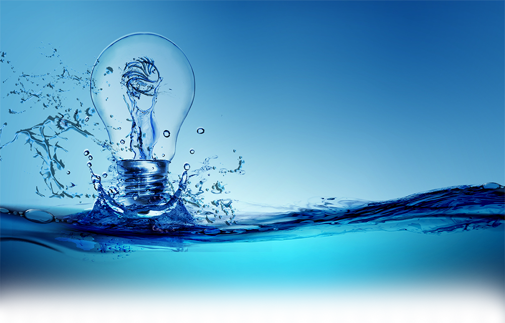 Lionfish - Illustration Clipart (1000x640), Png Download