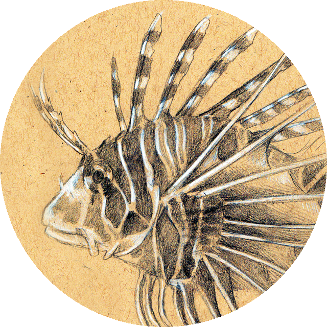 Pest Clipart (640x640), Png Download