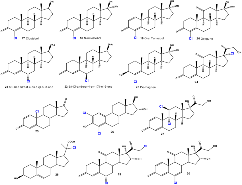 Bioactive Anabolic Chlorinated Steroids - Chlorinated Steroids Clipart (850x648), Png Download