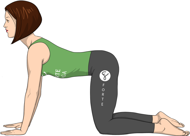 Cow Pose Forte Yoga Clipart (900x675), Png Download