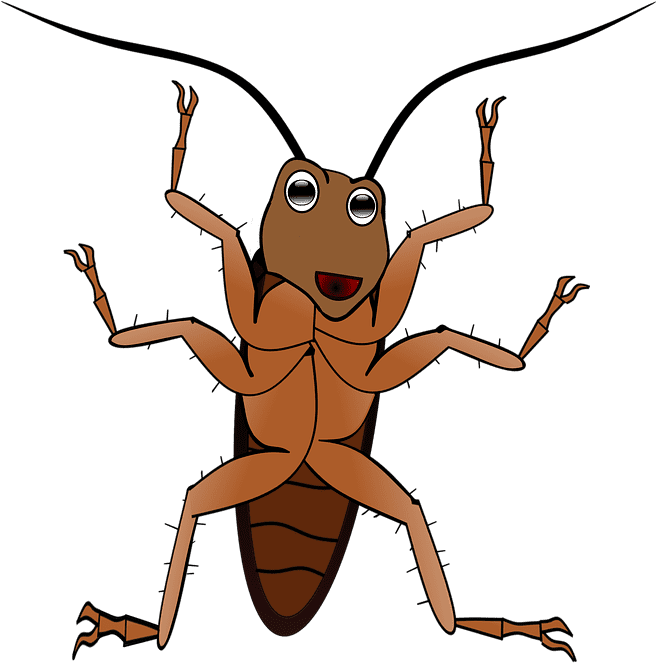 El Caso De La 'cucaracha Gigante' Que Vigilaba A Una - Png แมลงสาบ การ์ตูน Clipart (706x720), Png Download