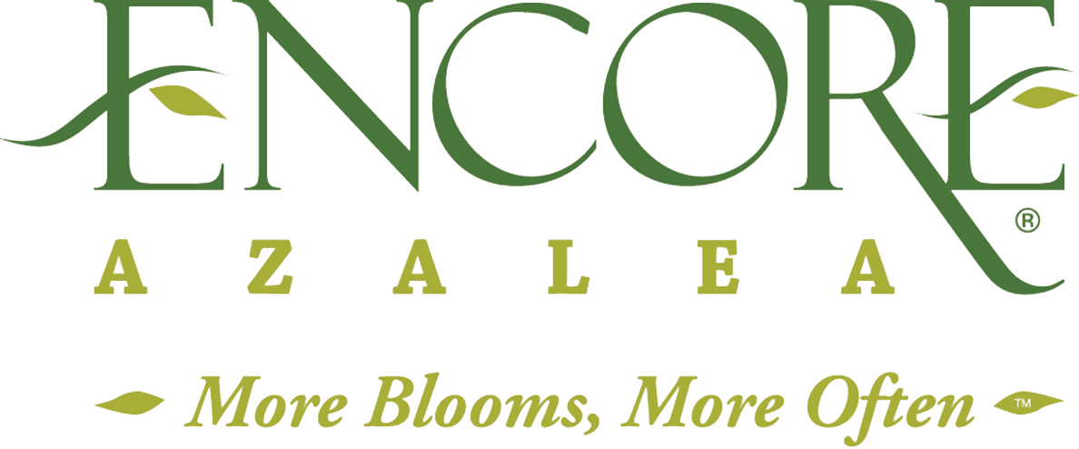 All Encore Azaleas Have Beautiful Flowers, I Have Always - Encore Azaleas Logo Clipart (1188x494), Png Download