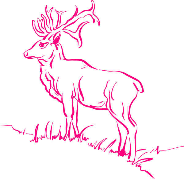 Small - Deer Clipart - Png Download (600x583), Png Download