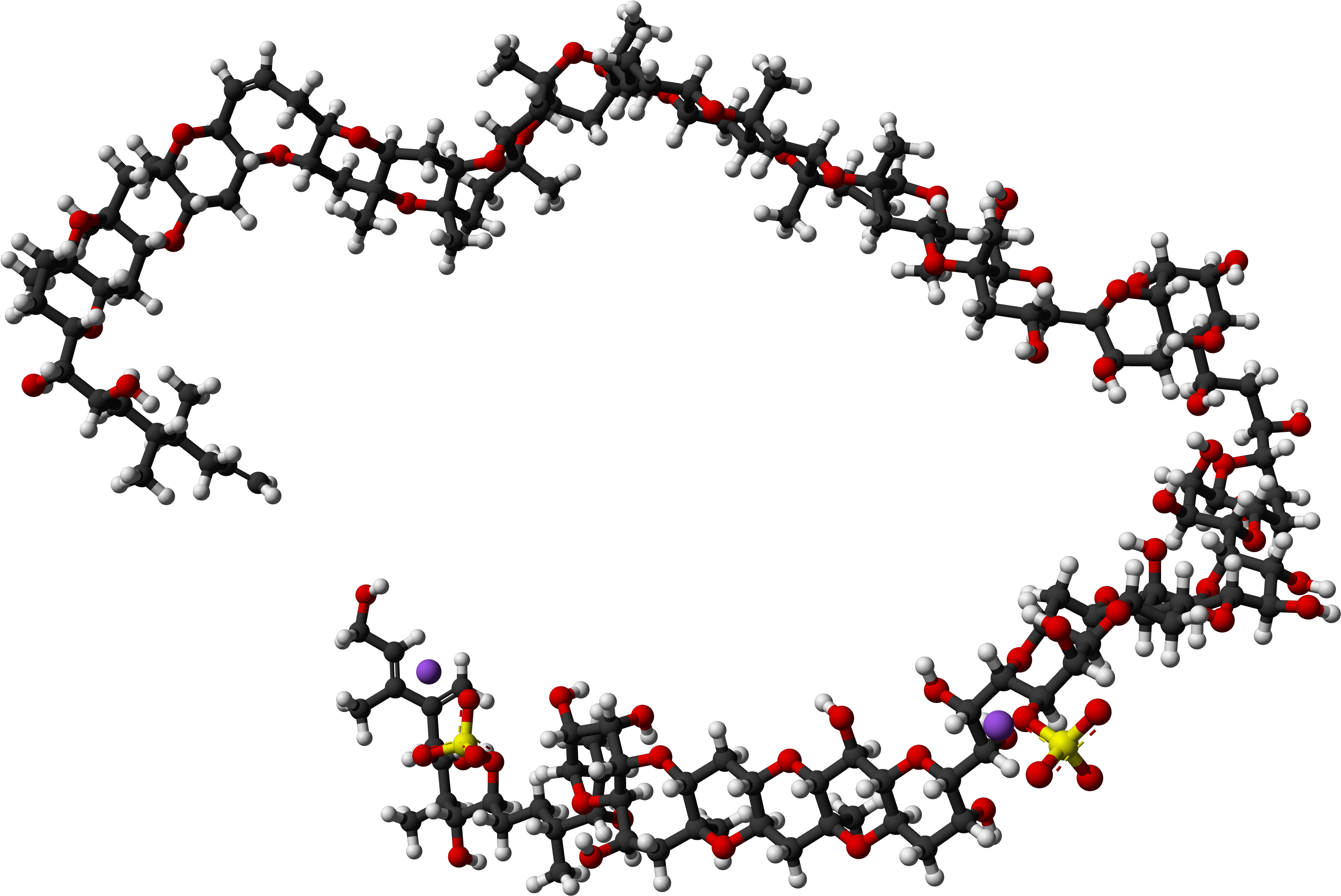 Maitotoxin 3d Model - Illustration Clipart (3629x2538), Png Download