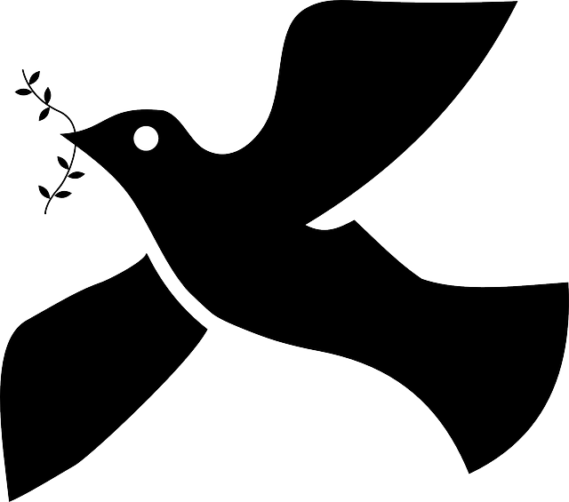 Symbol, Silhouette, Dove, Religion, Sprig, Faith, With - Paloma De La Paz Negra Clipart (640x565), Png Download