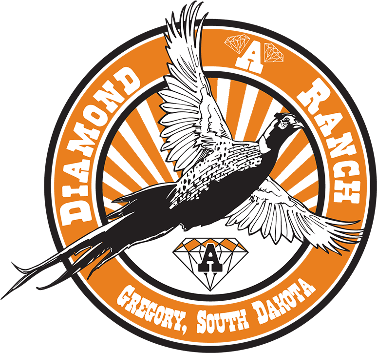 Diamond A Ranch - Pheasant Clipart (1300x1000), Png Download