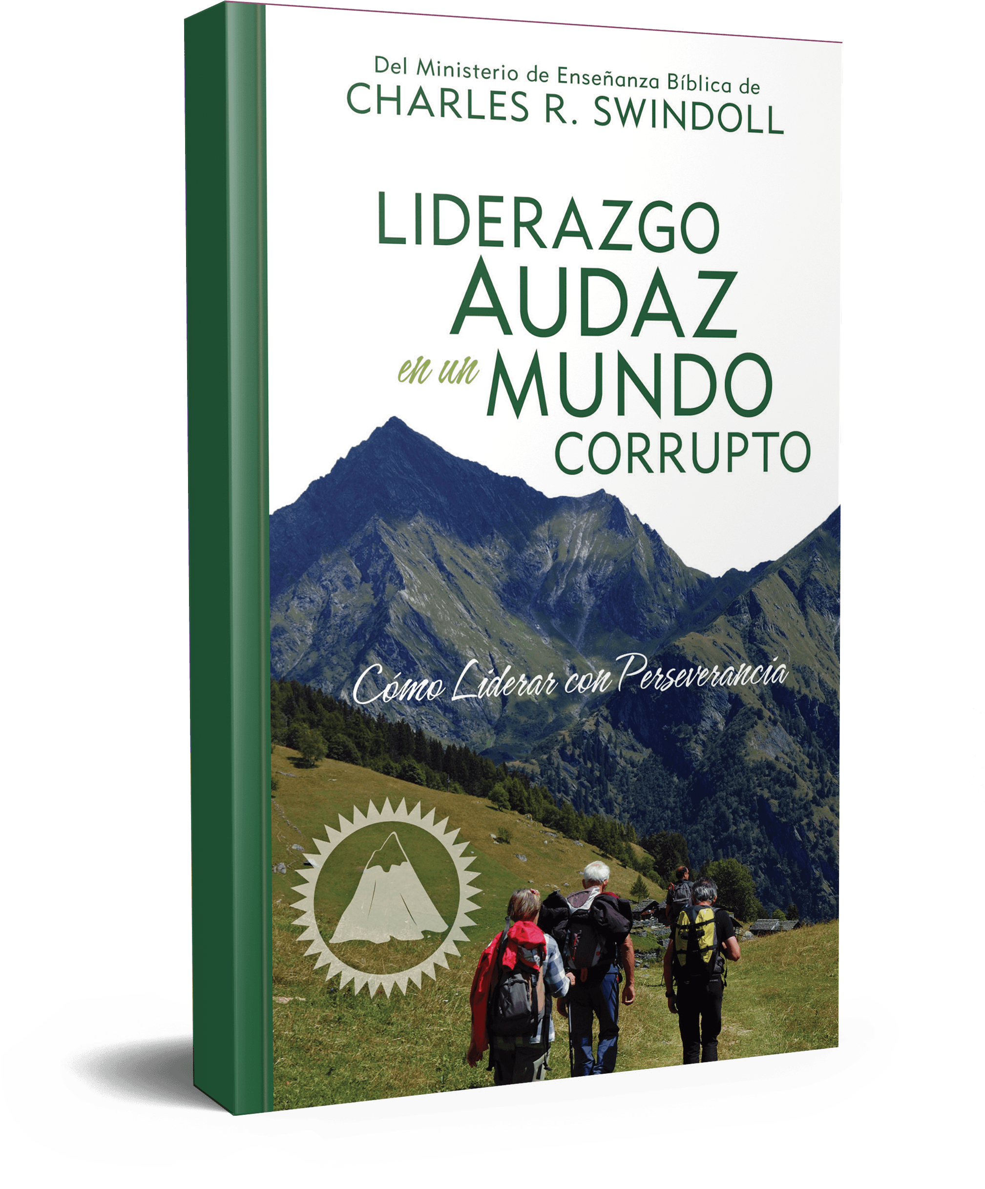 Liderazgo - Summit Clipart (2782x2667), Png Download