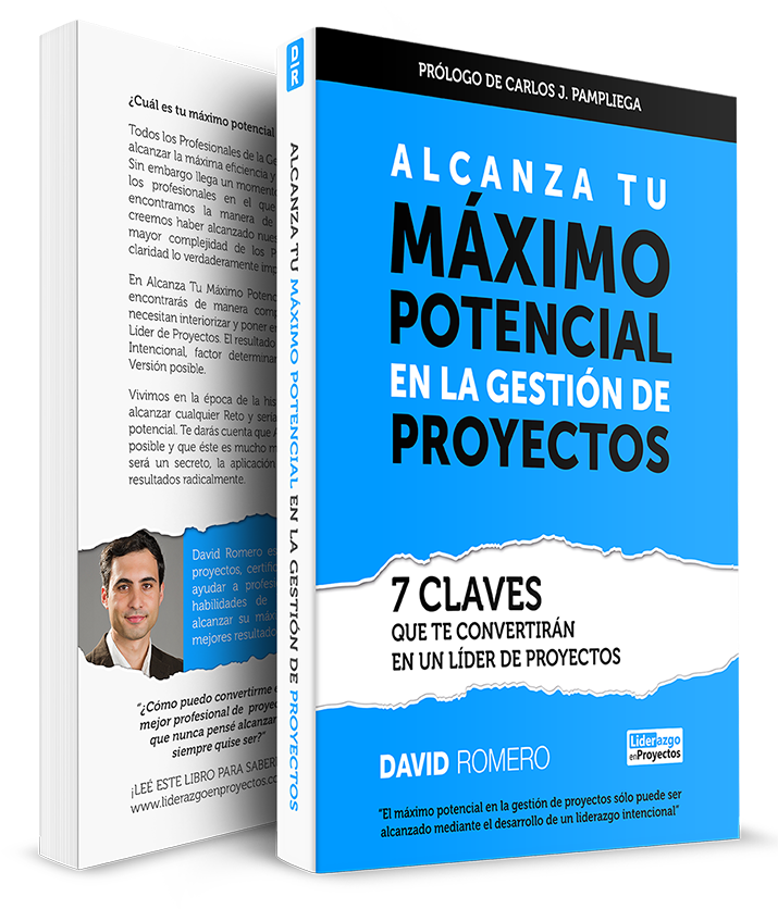 Alcanza Tu Máximo Potencial En La Gestión De Proyectos - Flyer Clipart (738x900), Png Download