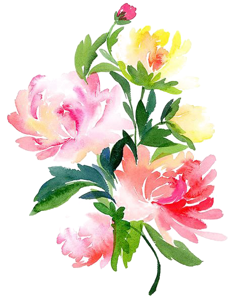Peony Vector Watercolour Painting - Water Painted Flowers Png Clipart (564x729), Png Download