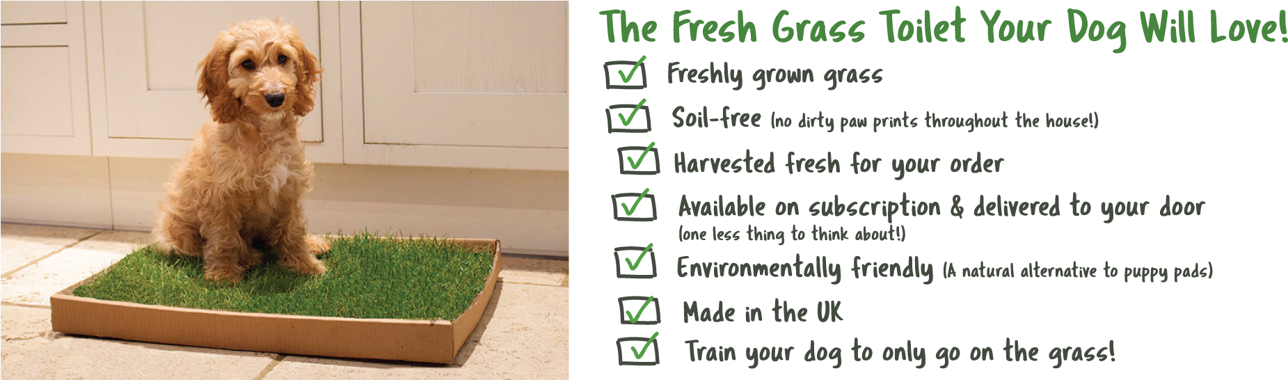 Piddle Patch Is Made From Real, Soil-free Grass - Flowerpot Clipart (1920x545), Png Download