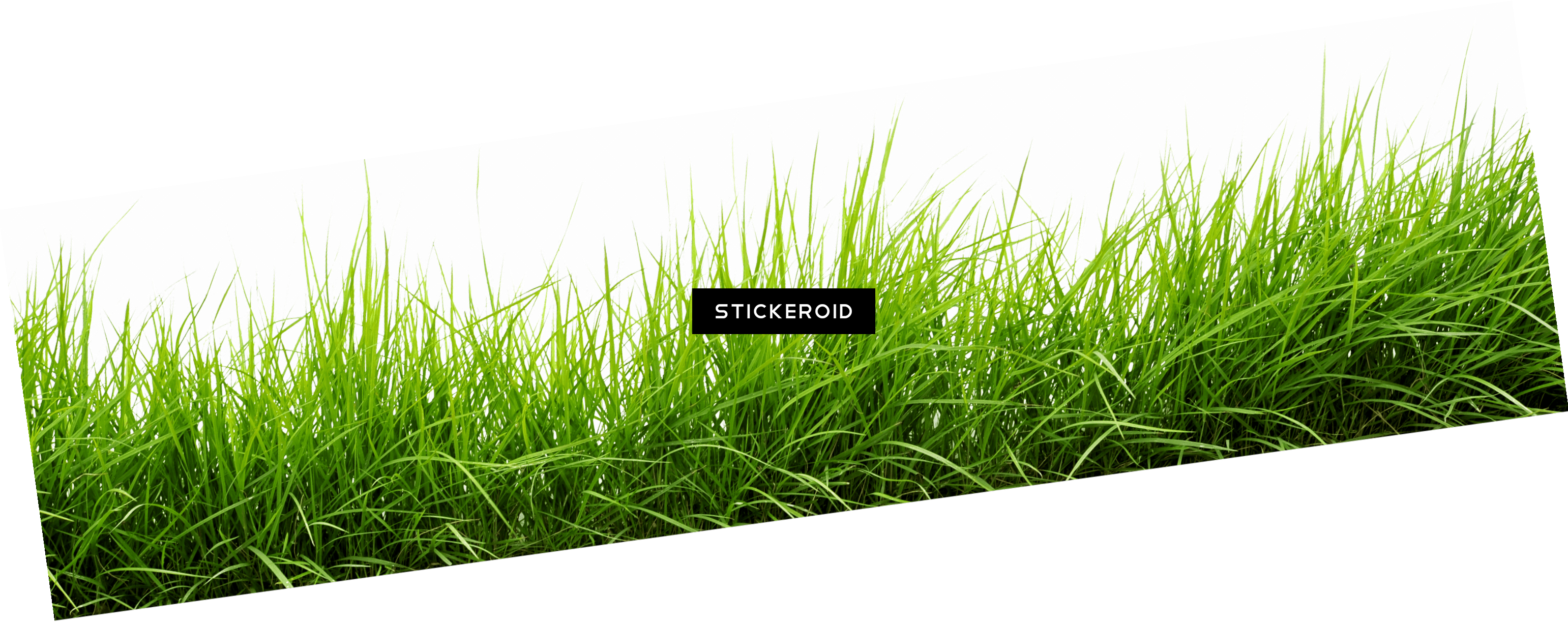 Grass Line Png Transparent Background - Sweet Grass Clipart (3083x1225), Png Download