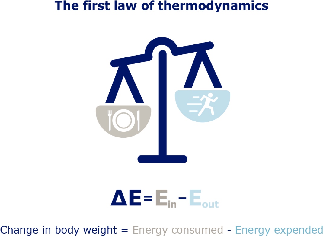 Obesity Thermodynamics - Graphic Design Clipart (1280x787), Png Download