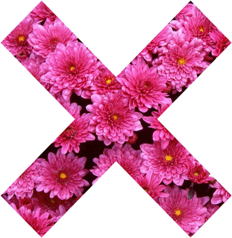 X X Cross Flower Pink Girly Pink Nature Collor Tumblr - Flowers Clipart (925x947), Png Download