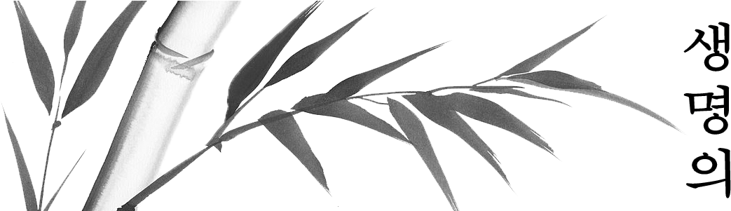 Nature Black And White Watercolor Clipart (1110x300), Png Download