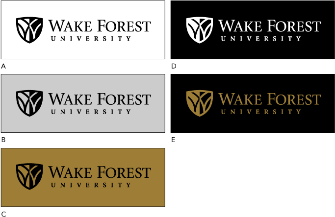 Logo Guidelines One Color - Wake Forest University Clipart (694x456), Png Download