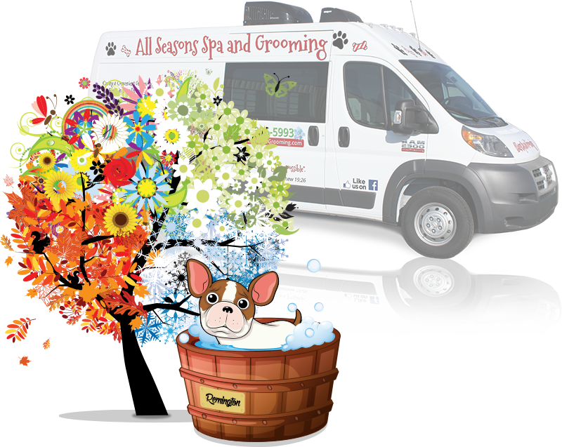 Dog Grooming Clipart (800x637), Png Download