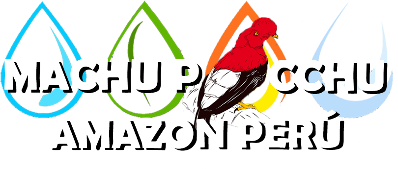 Illustration Clipart (888x369), Png Download